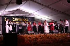 Mini IMG 8805